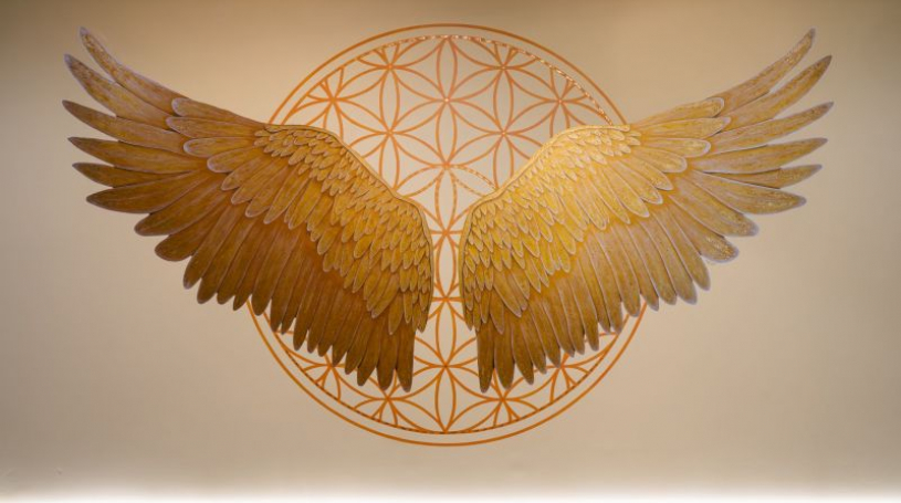 

			
				Shine Sanctuary for the Soul
			
			
	